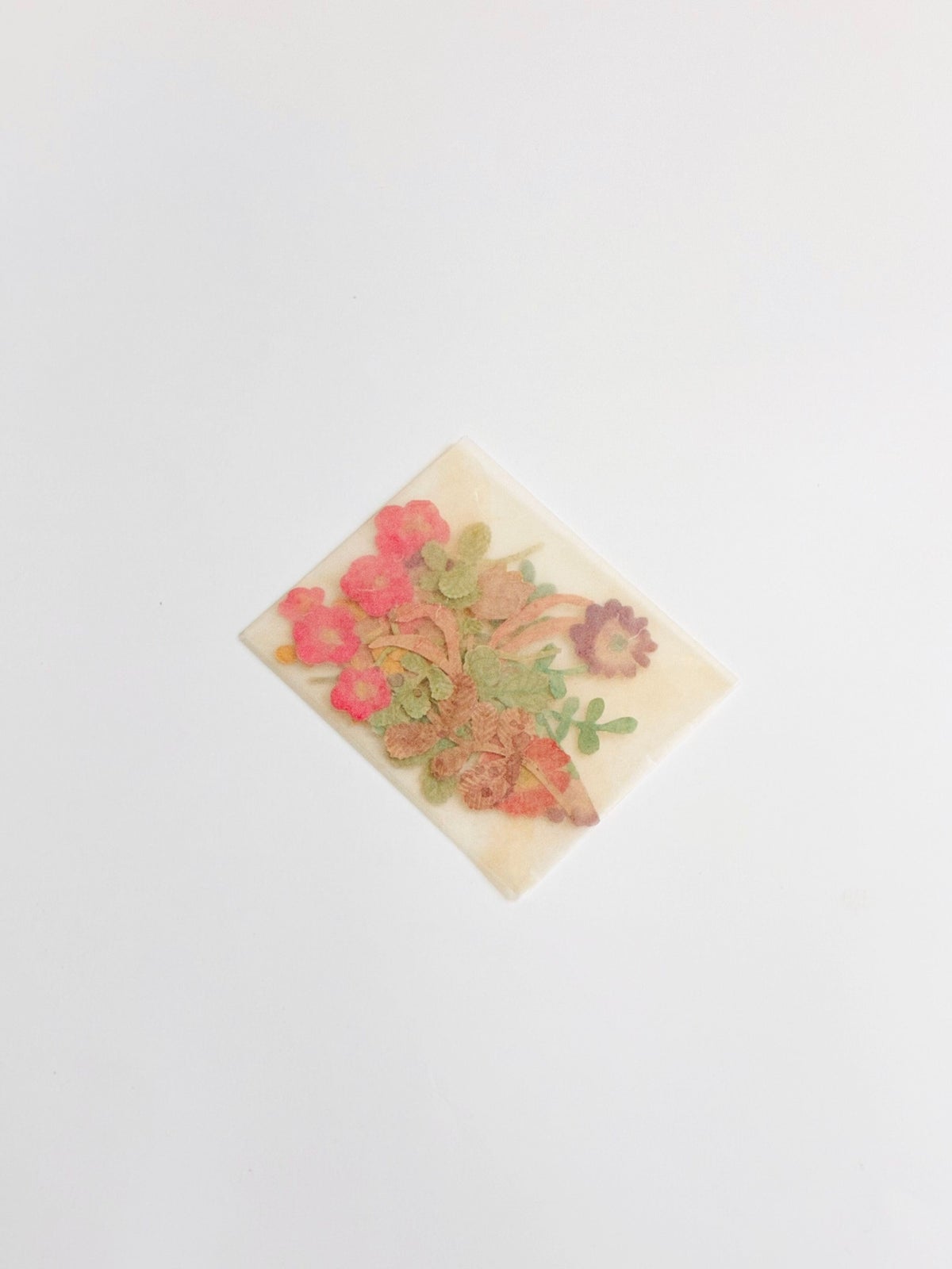 今村文《花言葉》2026 ©Fumi Imamura
