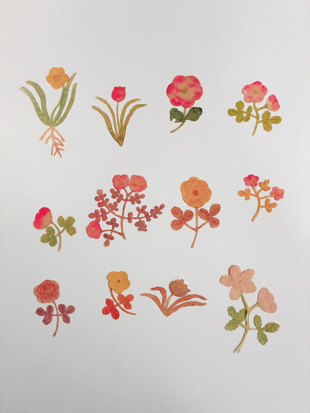 「言葉の代わりに、花を贈る」今村文のプロジェクト「花言葉」がOIL by 美術手帖ギャラリーで10月30日(金)から 自身初の作品集も発表