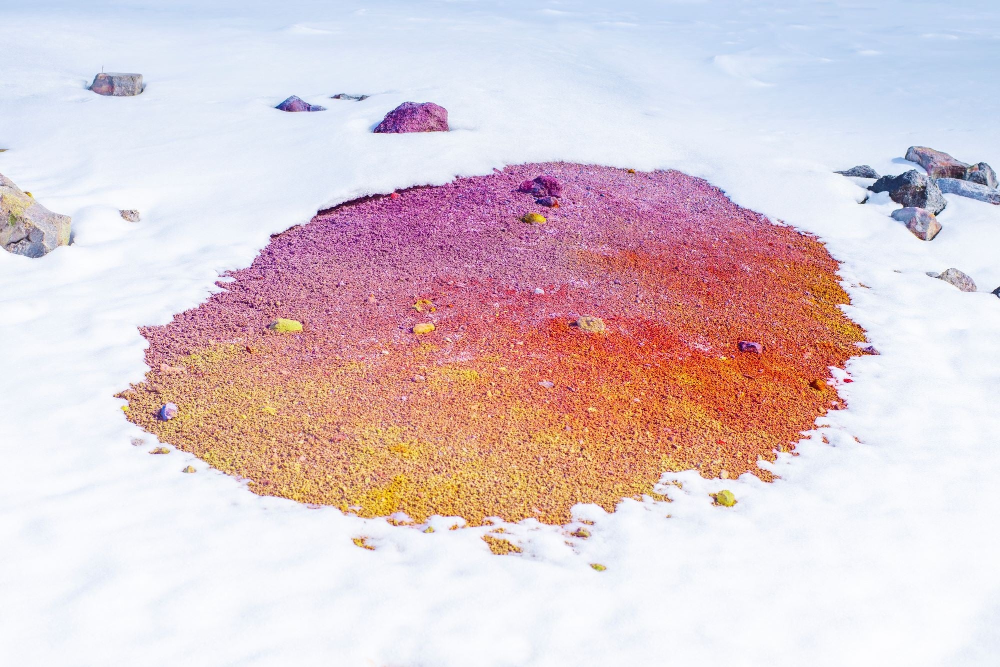 遠藤文香　untitled　2022　 Archival Pigment Print