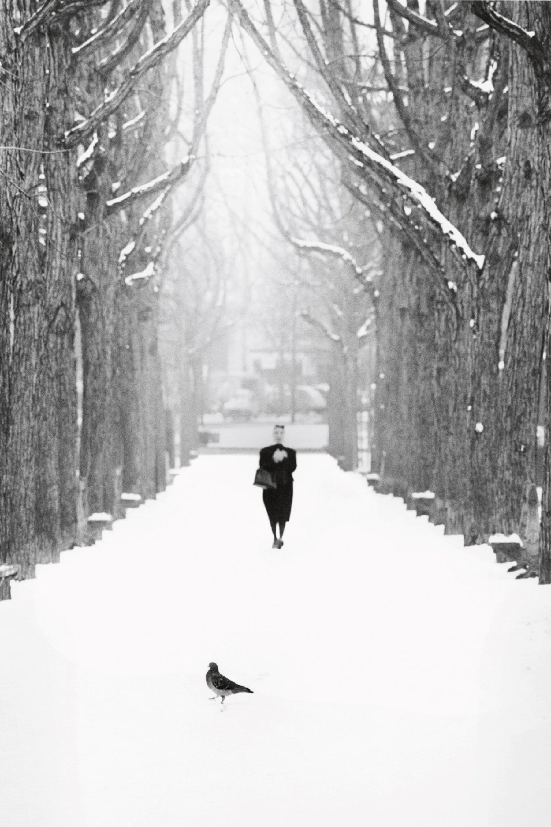 NARAHARA IKKO ARCHIVES