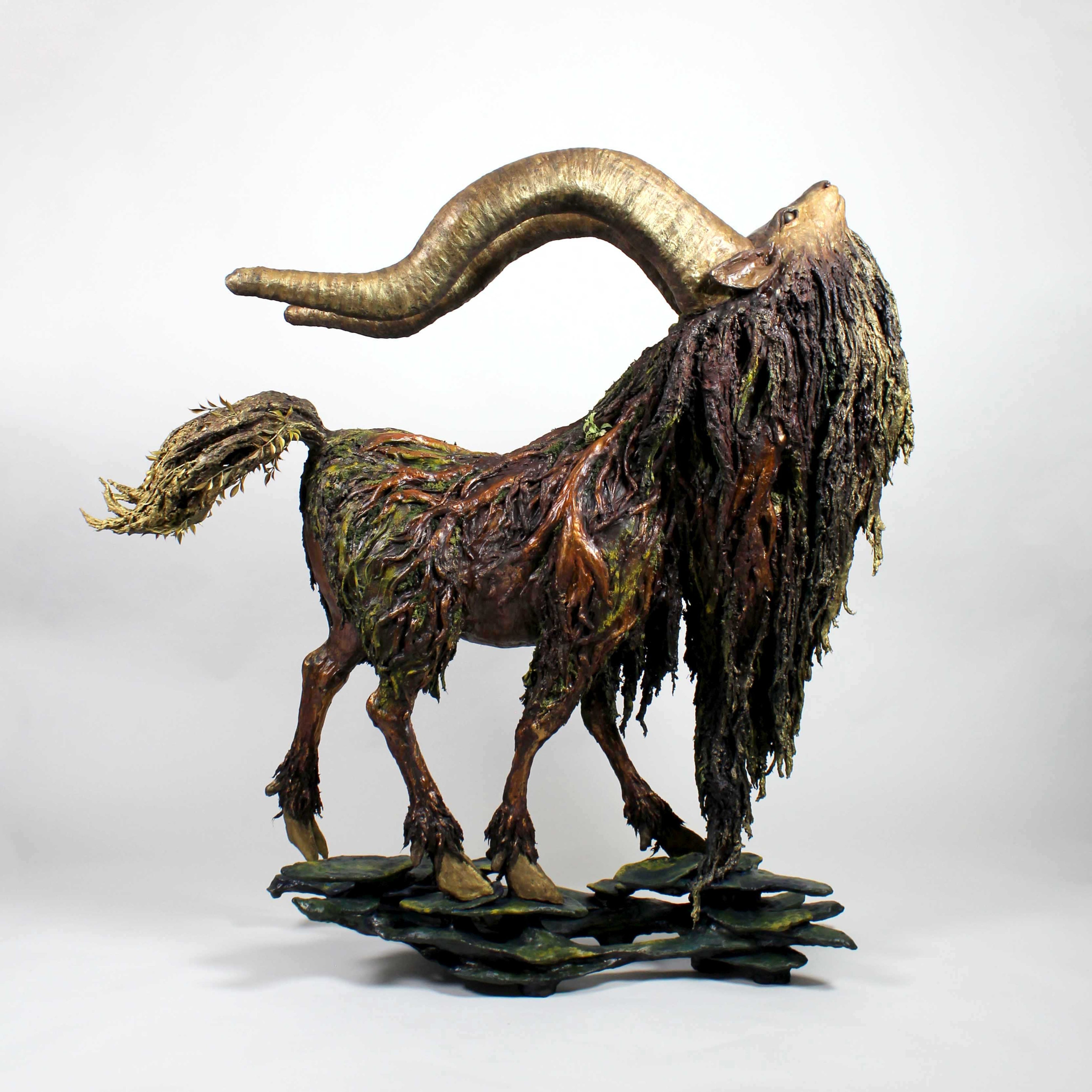 銀座 蔦屋書店】自然を生きる動物と植物の融合によって、新たな美の