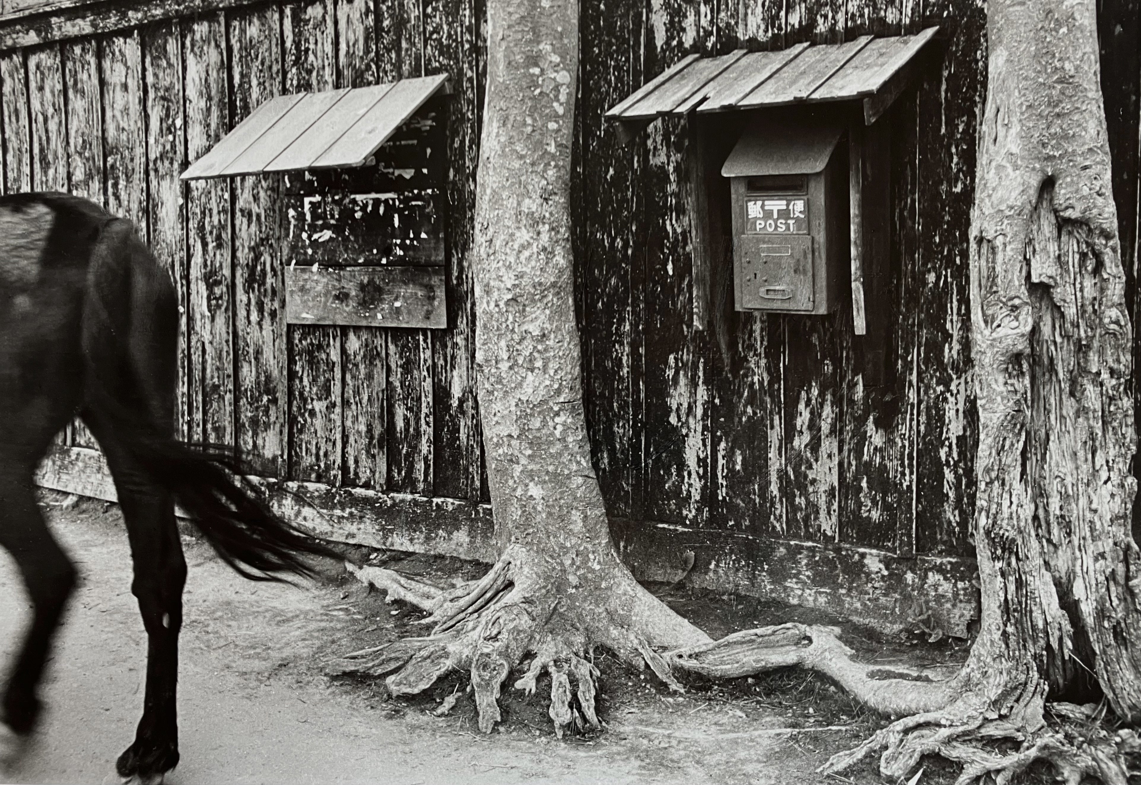 木村 伊兵衛「秋田市追分、板塀」 1953年