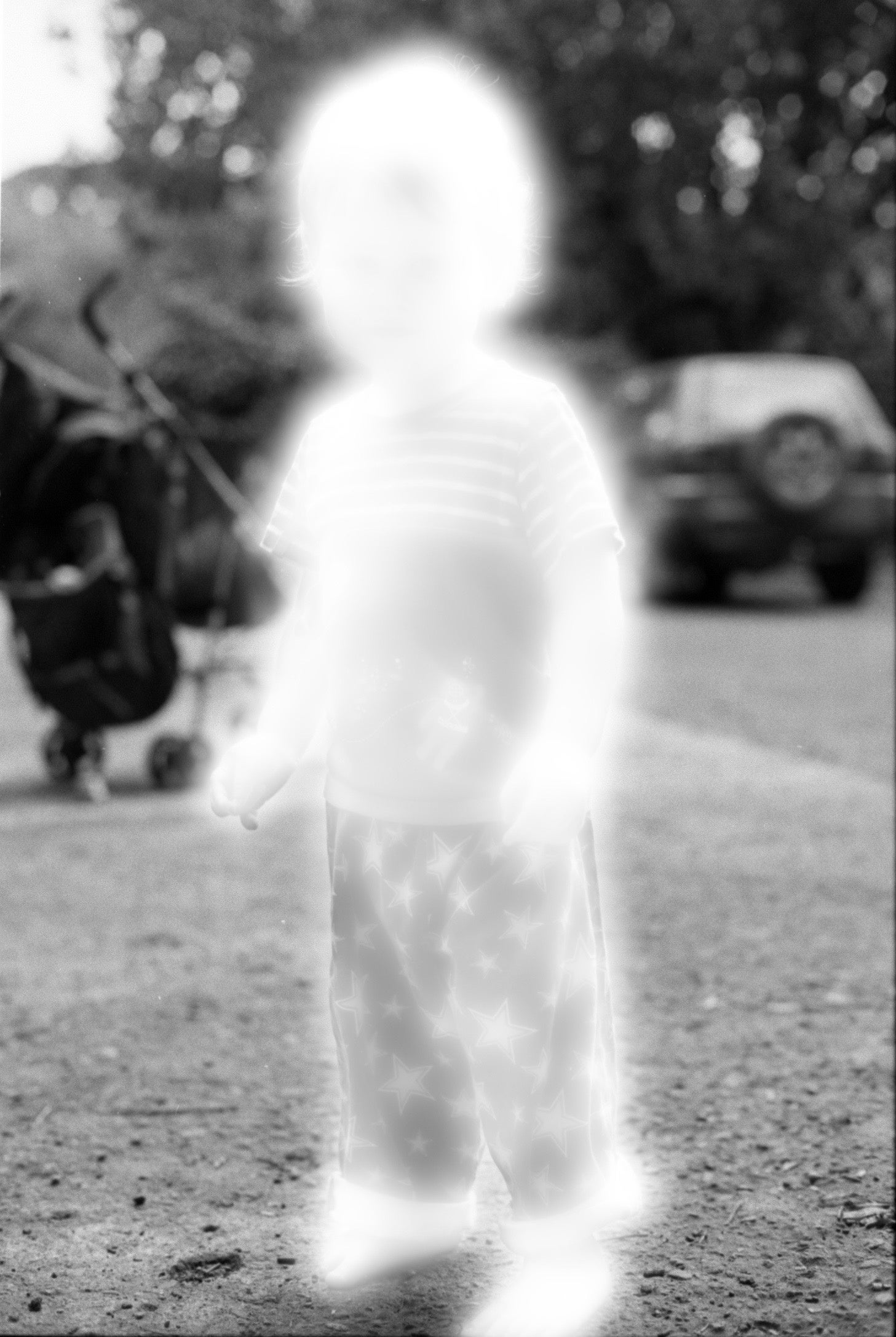 武内太郎 参考作品