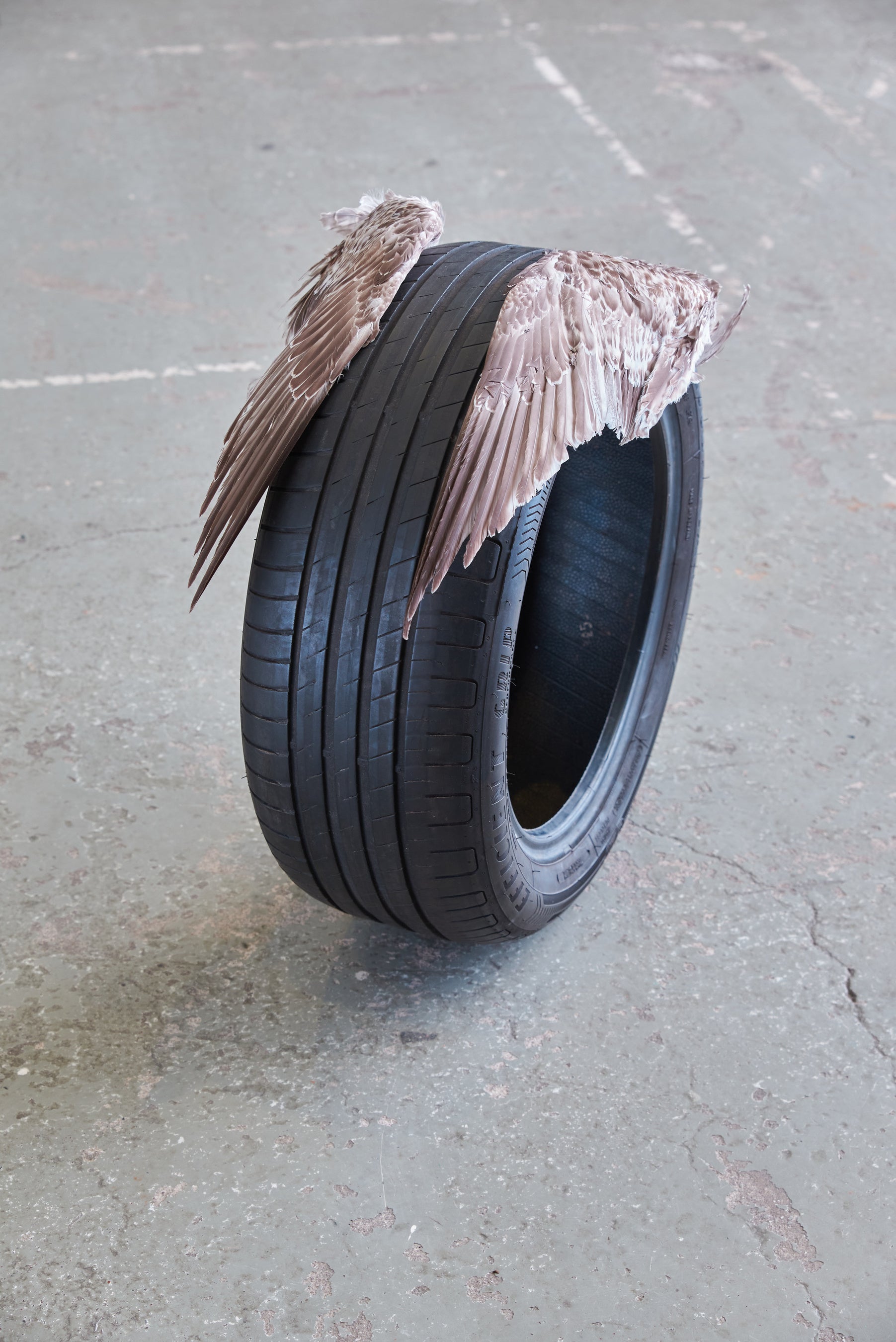 ハンナ・アントンソン 参考作品