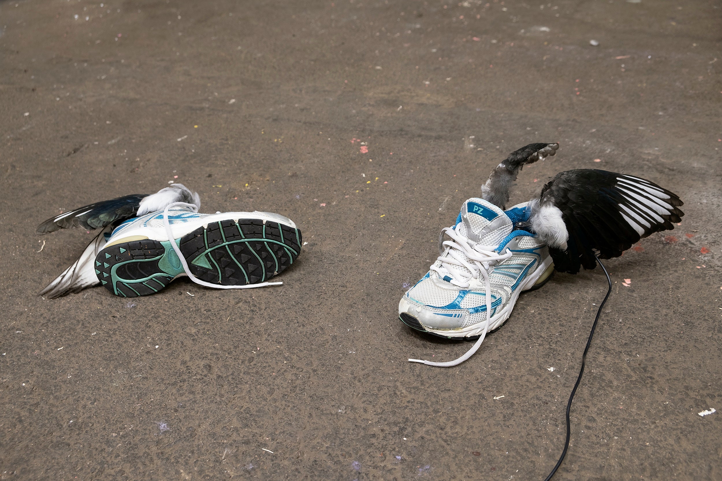 ハンナ・アントンソン 参考作品