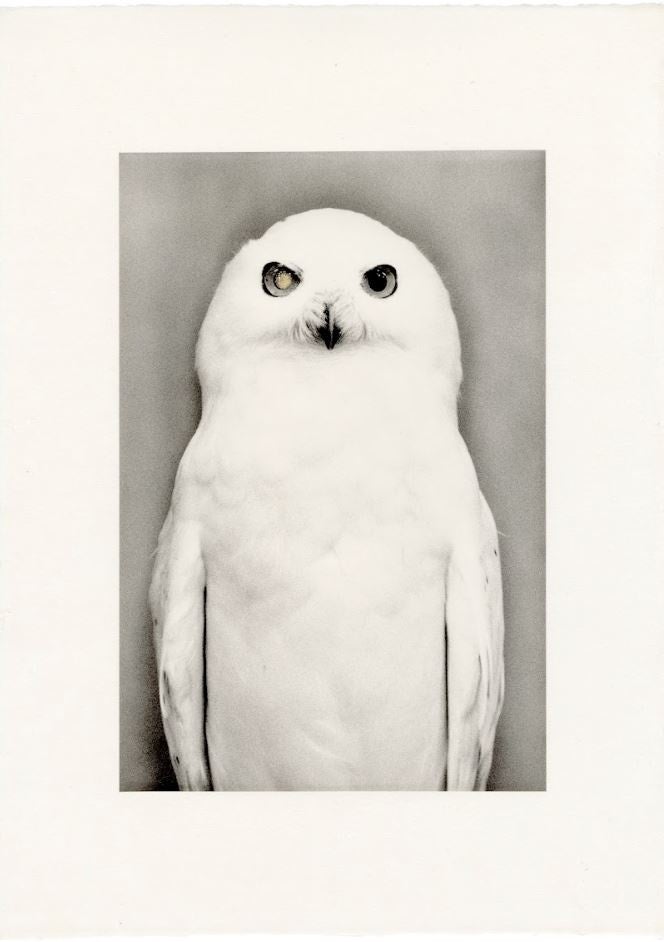 川 KAWA=flow washi edition #1684 2/5