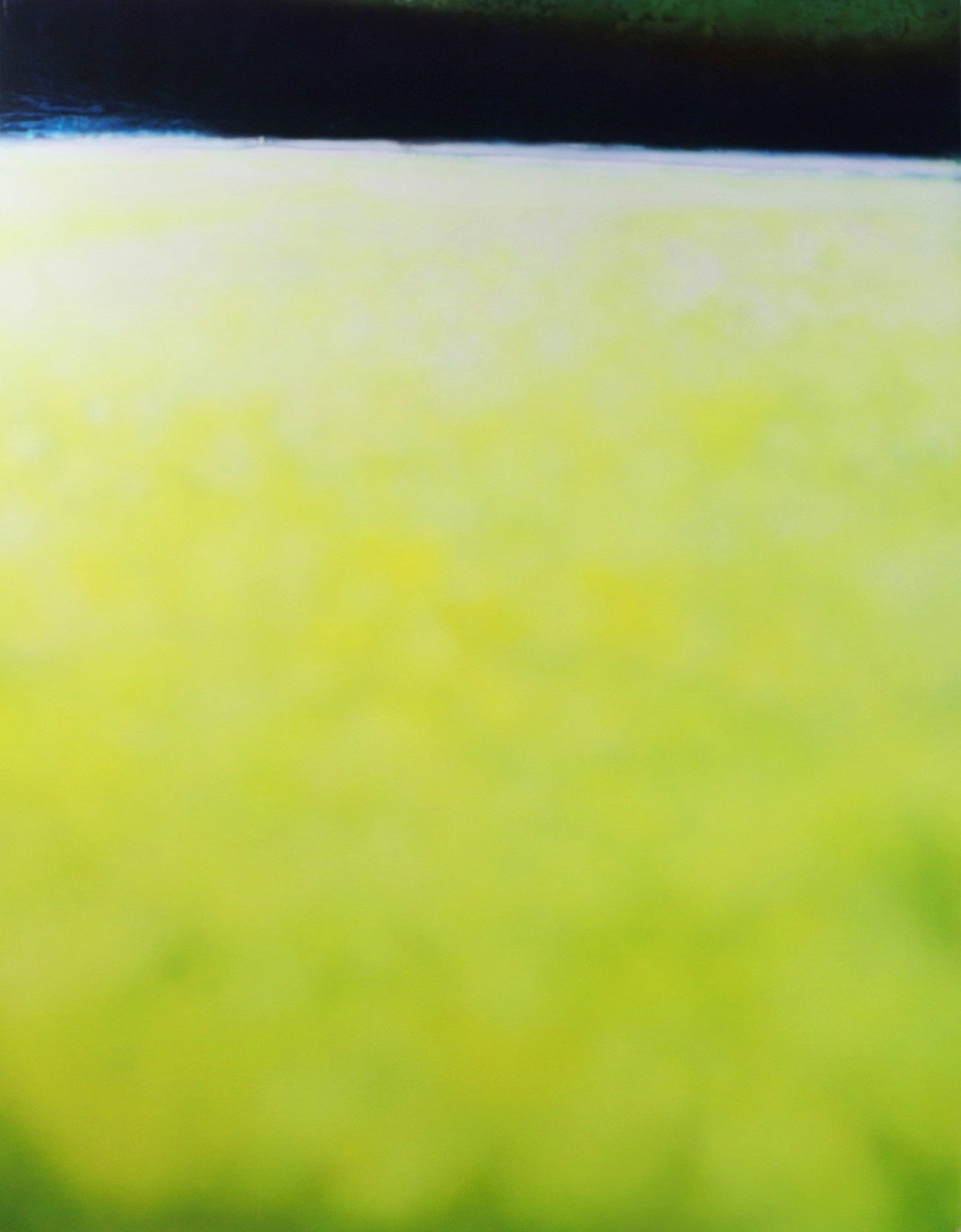 「one view No.97」 F50 116.7×91cm acrylic, lacquer on panel　2023