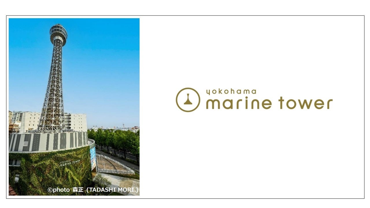 江戸彫ひろの個展「Love」が横浜マリンタワーで開催!新作19点を展示 江戸彫ひろの個展「Love」が横浜マリンタワーで開催!新作19点を展示