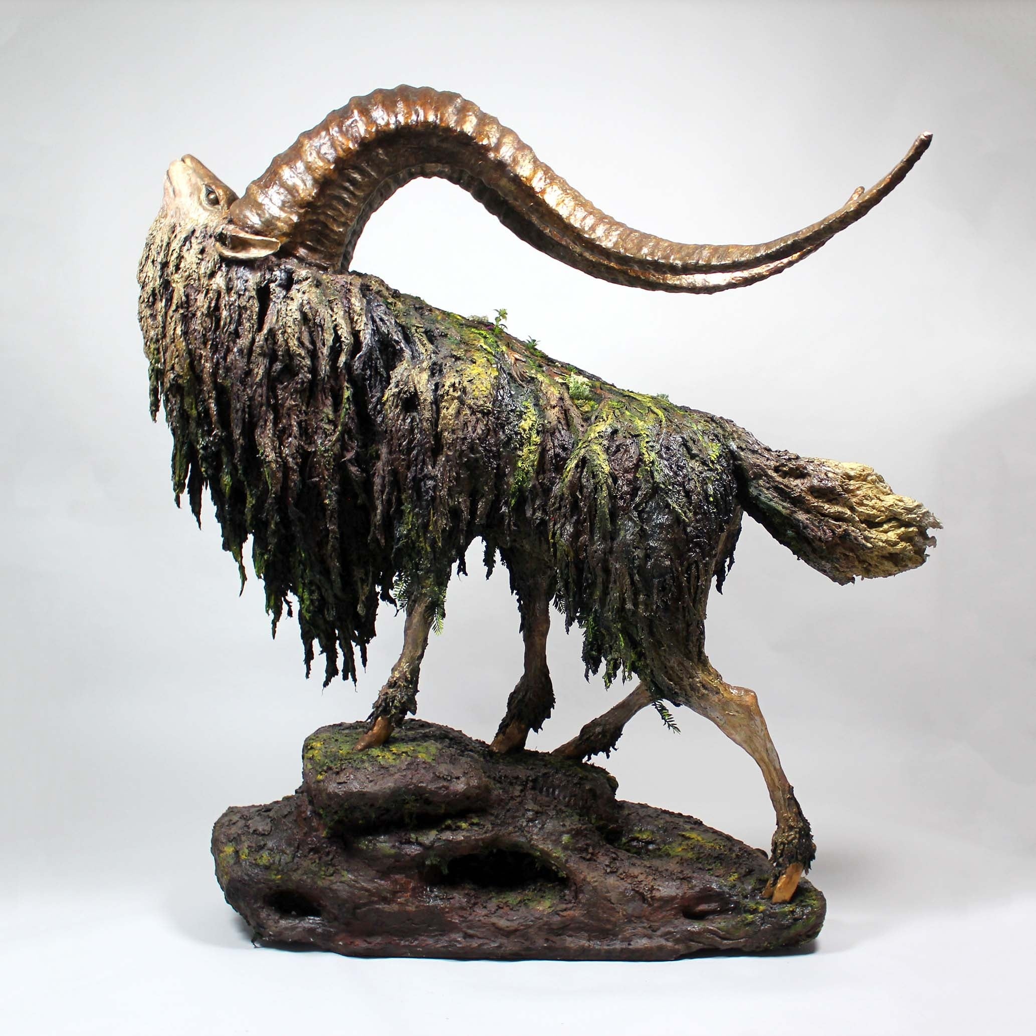 京都 蔦屋書店】動物と植物を融合させ、自然が持つ生命力を表現する