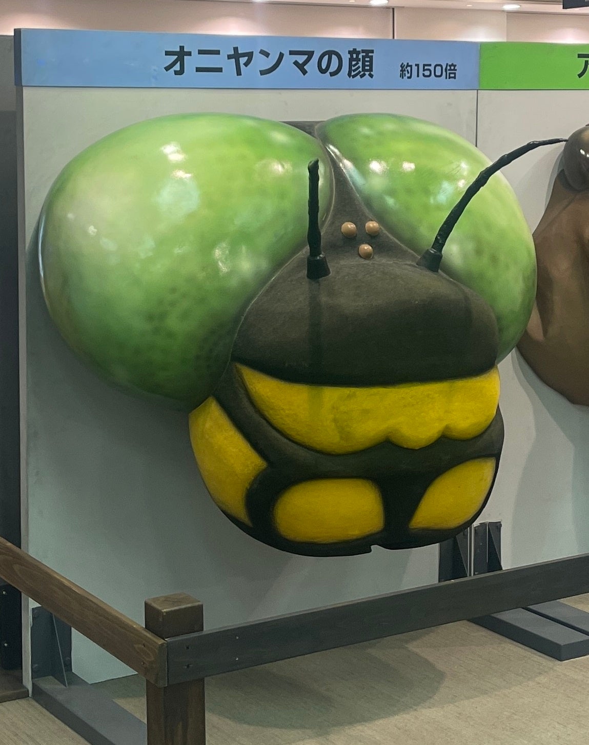 Ⓒ石森プロ・テレビ朝日・ADK　EM・東映　 Ⓒ石森プロ・東映