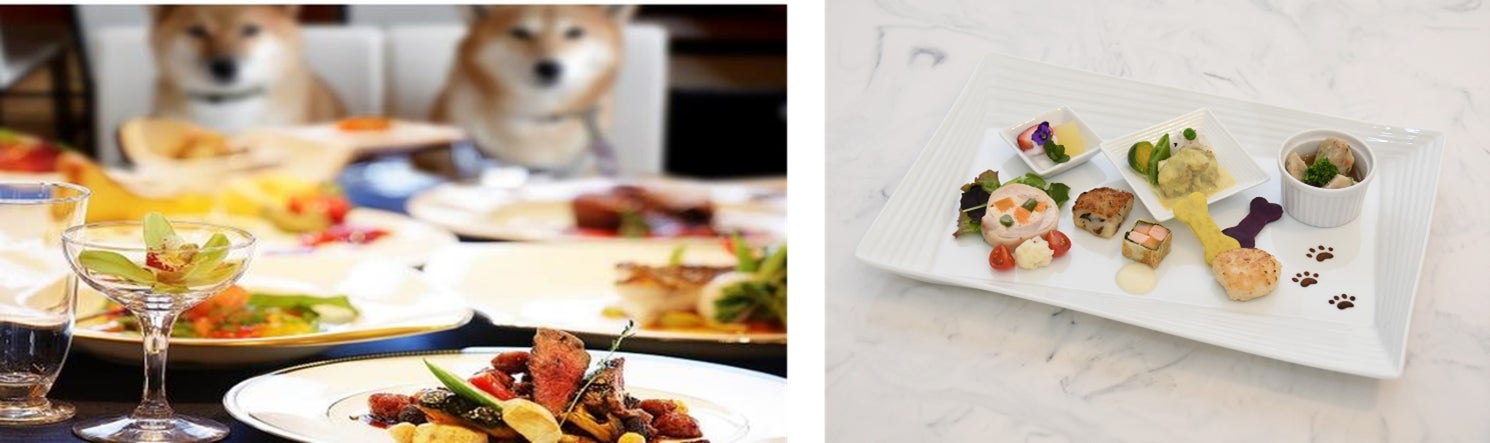 「小谷流の里 ドギーズアイランド」 左から、食事会場で愛犬と一緒に過ごす様子、愛犬用ディナープレート(イメージ)