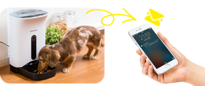 カメラ付き自動給餌器「カリカリマシーンSP」 （ペット家電専門 うちのこエレクトリック）