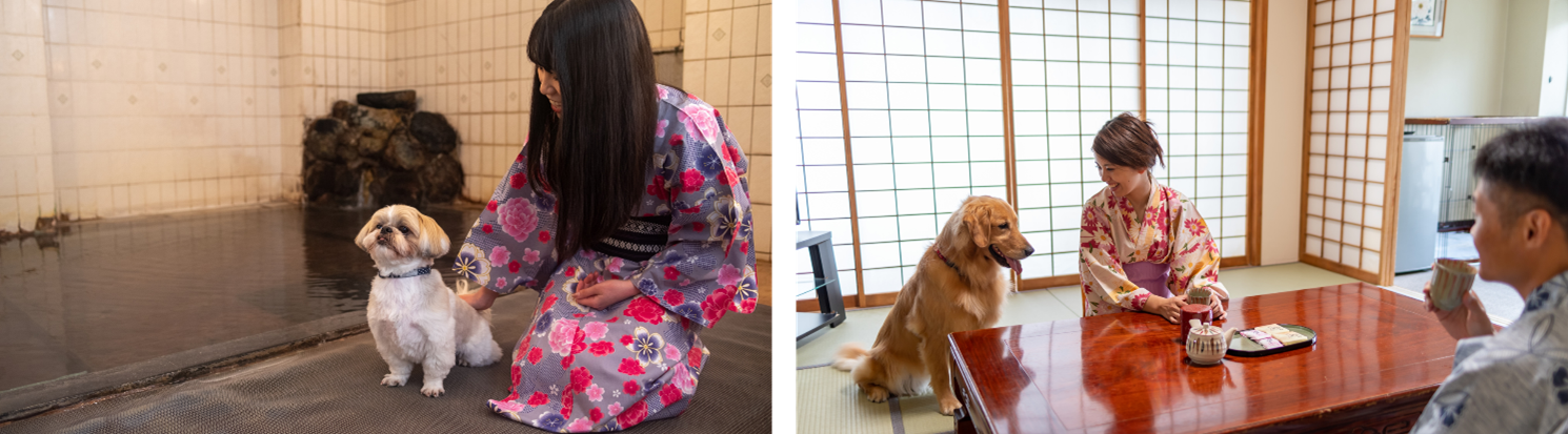 「草津温泉　大東舘」　左から、愛犬専用温泉、愛犬専用フロアのお部屋で一緒にくつろぐ様子