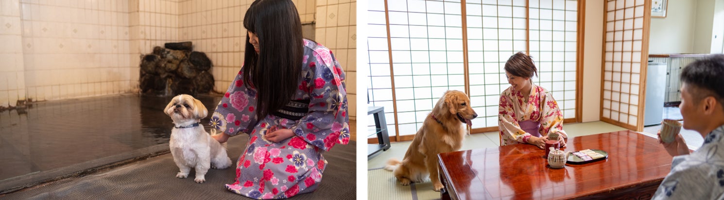 「草津温泉 大東舘」 左から、愛犬専用温泉、愛犬専用フロアのお部屋で一緒にくつろぐ様子