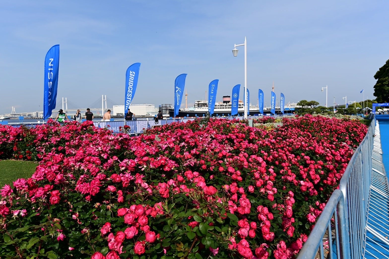 ウクライナ選手団の受け入れへ 2022ワールドトライアスロンシリーズ横浜大会