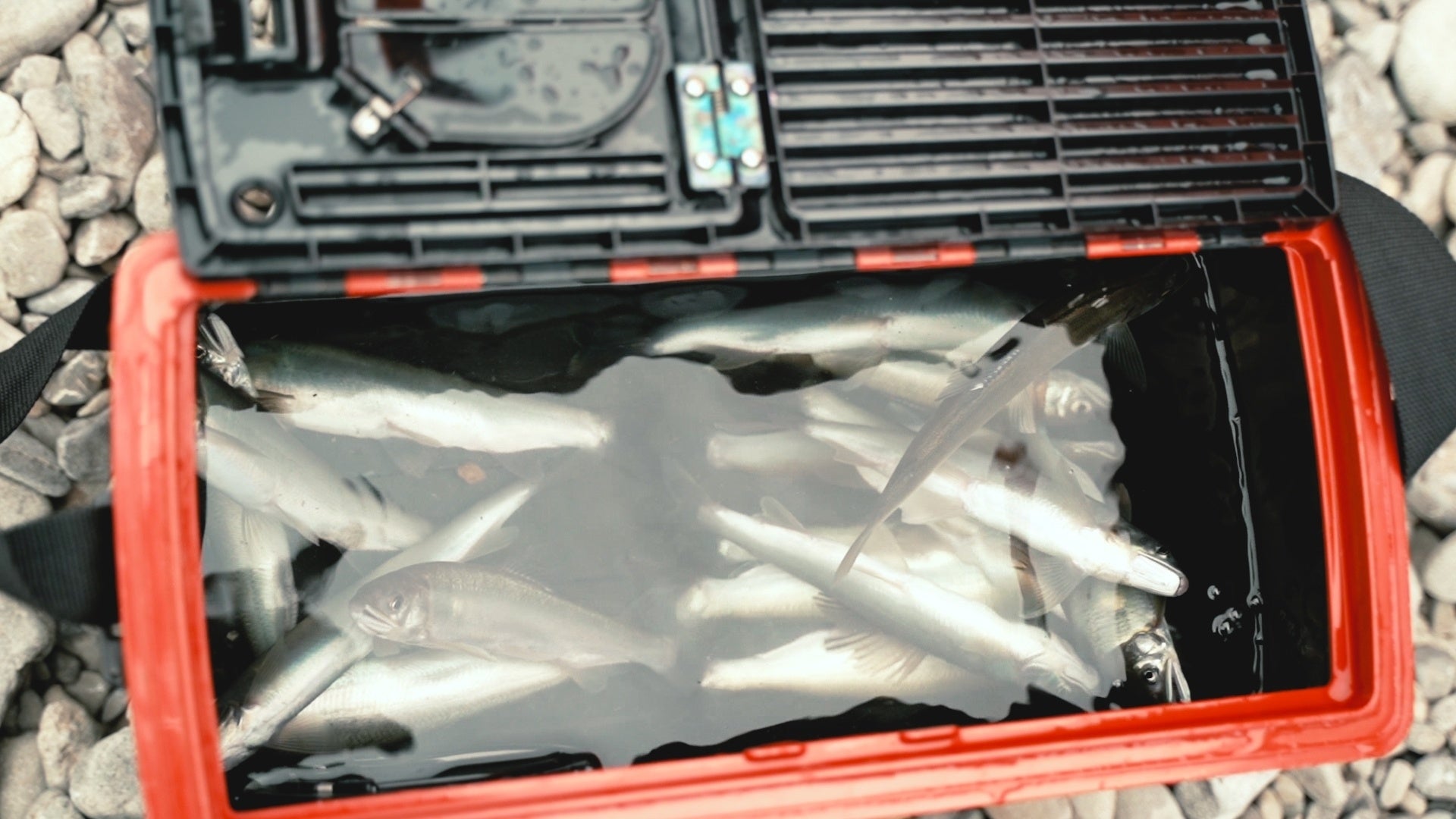 釣り用品の直取引で販売しています。