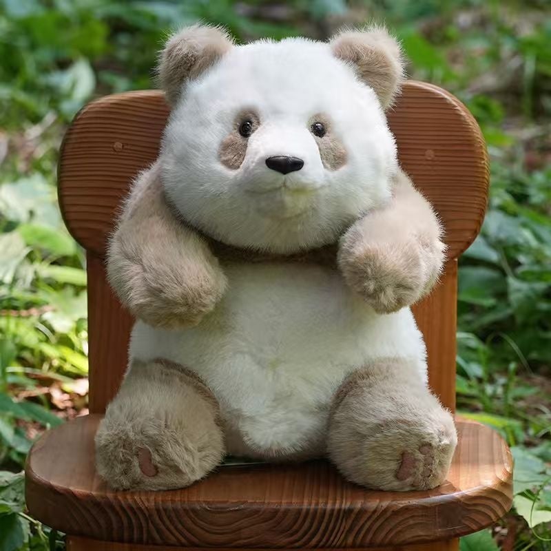 パンダ チーザイ 七仔 ぬいぐるみ くま テディベア 楽天市場】【ギフト対応無料】【世界唯一 茶色 チョコレート パンダ