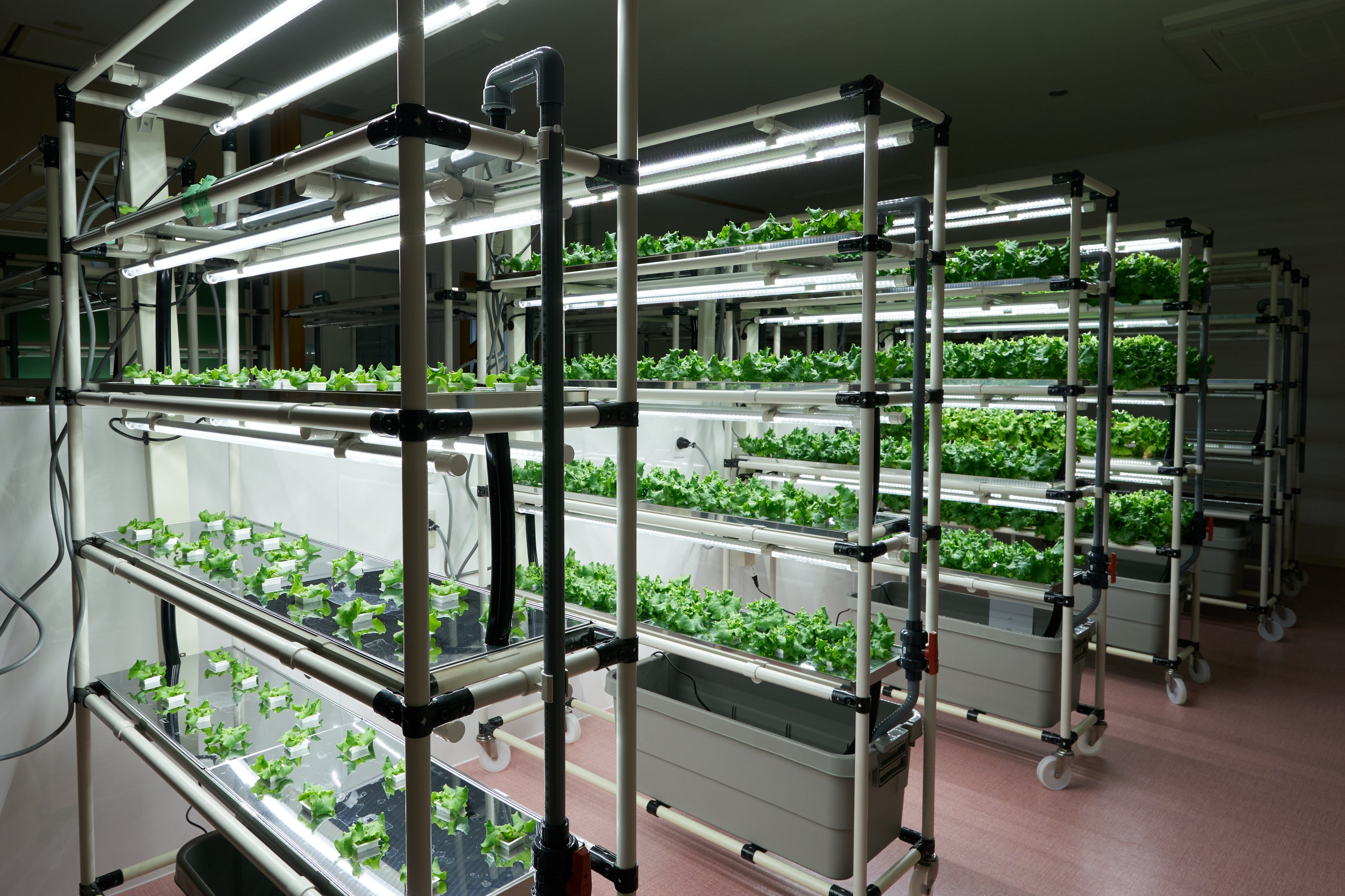 ▲「植物工場」