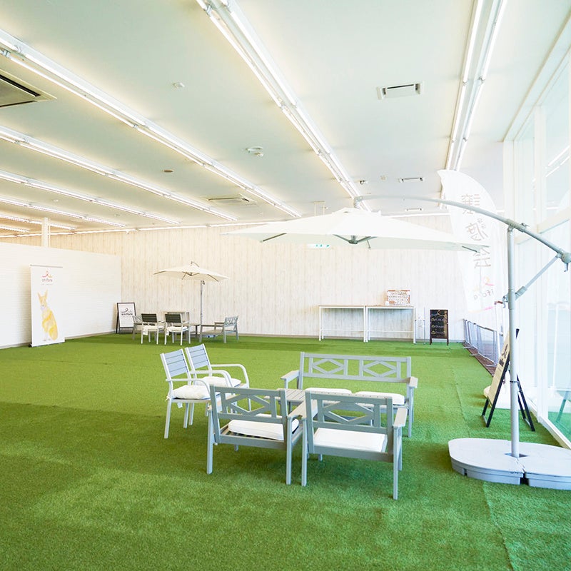 室内ドッグラン