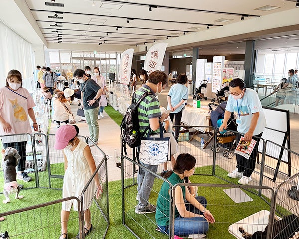 MARK IS みなとみらい譲渡会