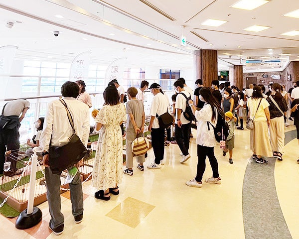 アクアシティお台場譲渡会