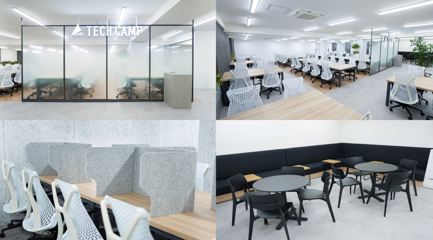 テックキャンプ就労移行スクール