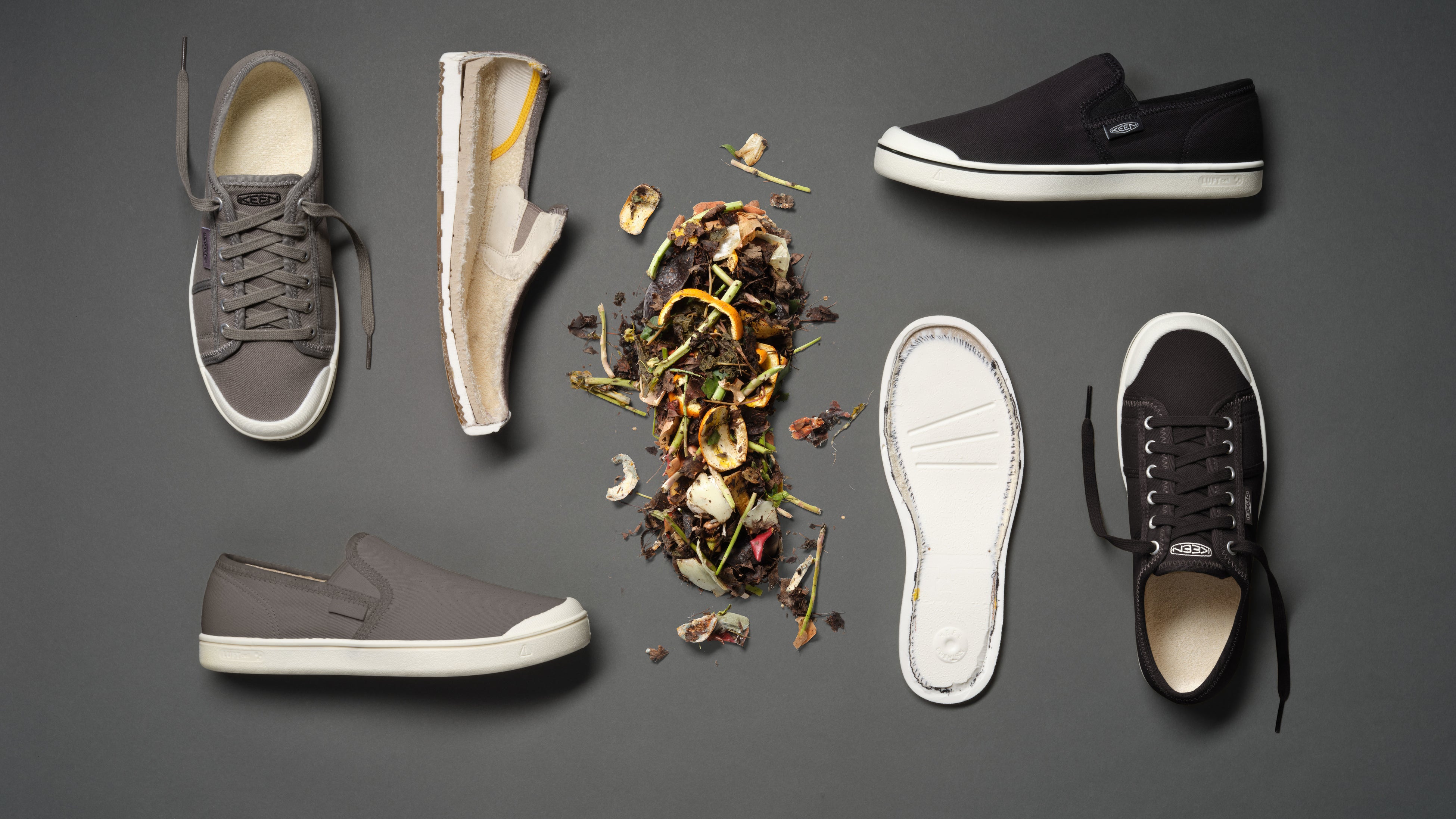 ELDONコレクション