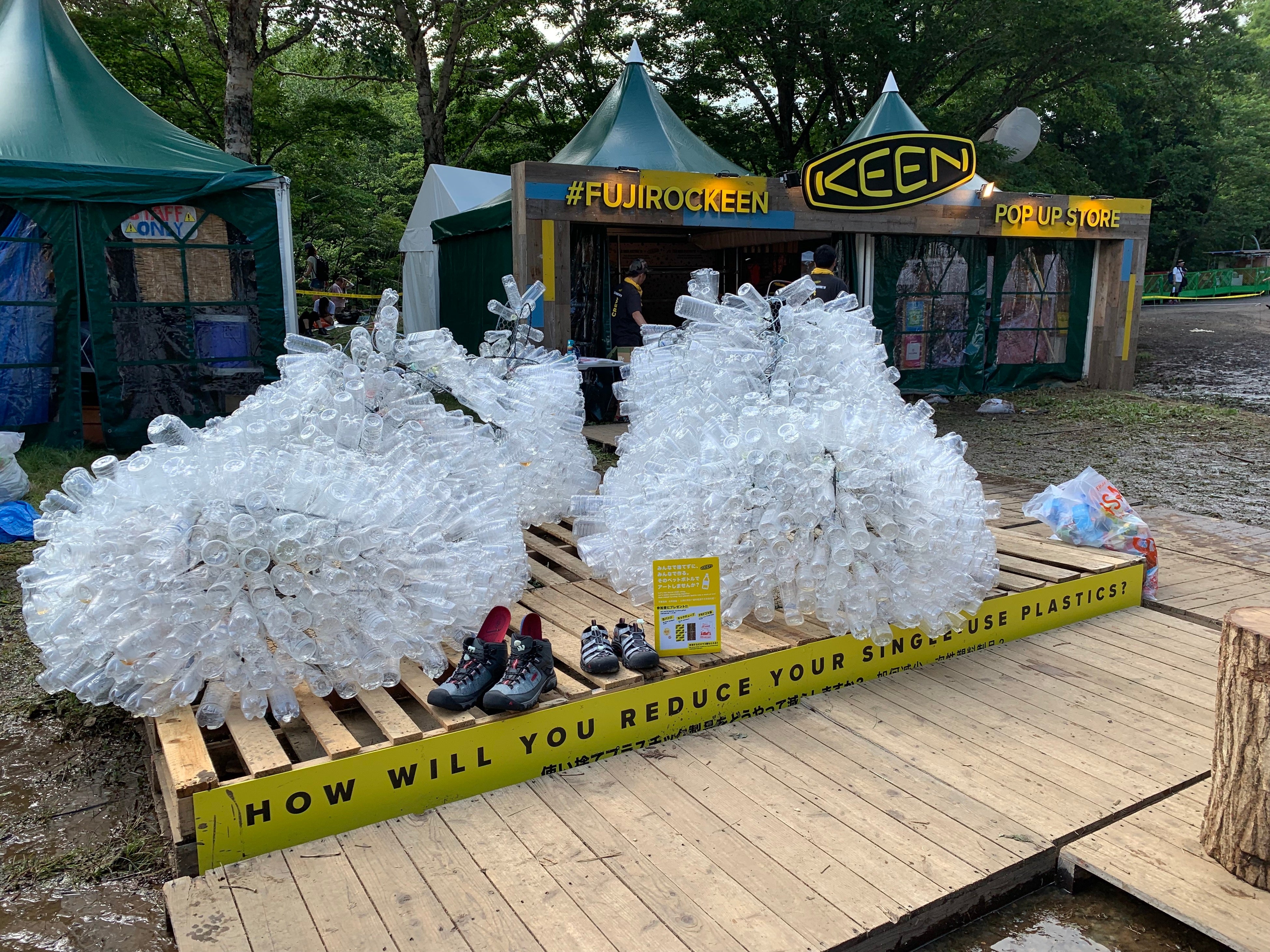 （写真）フジロック’19より