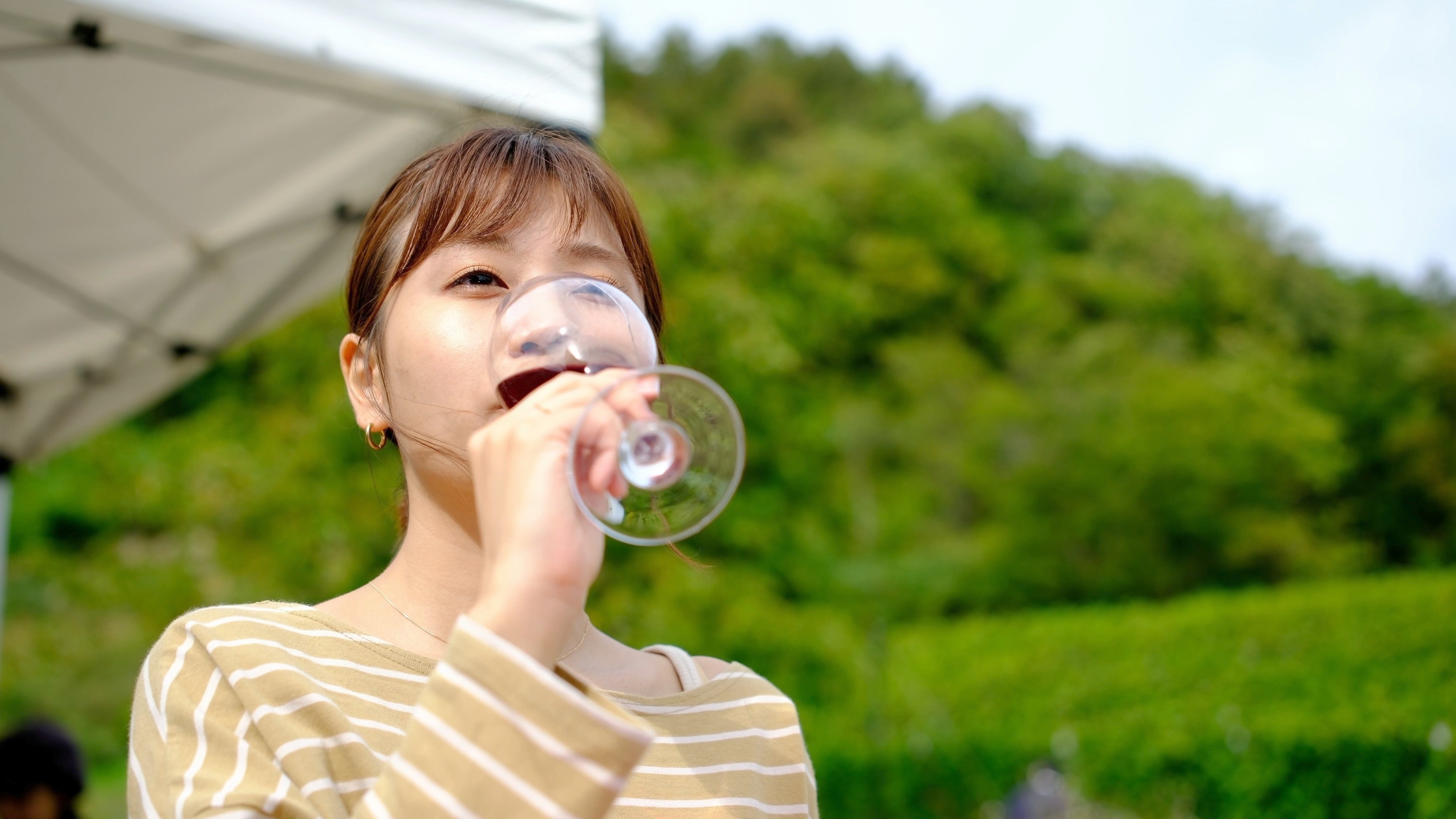 参加者はワインと料理の共演を楽しめる