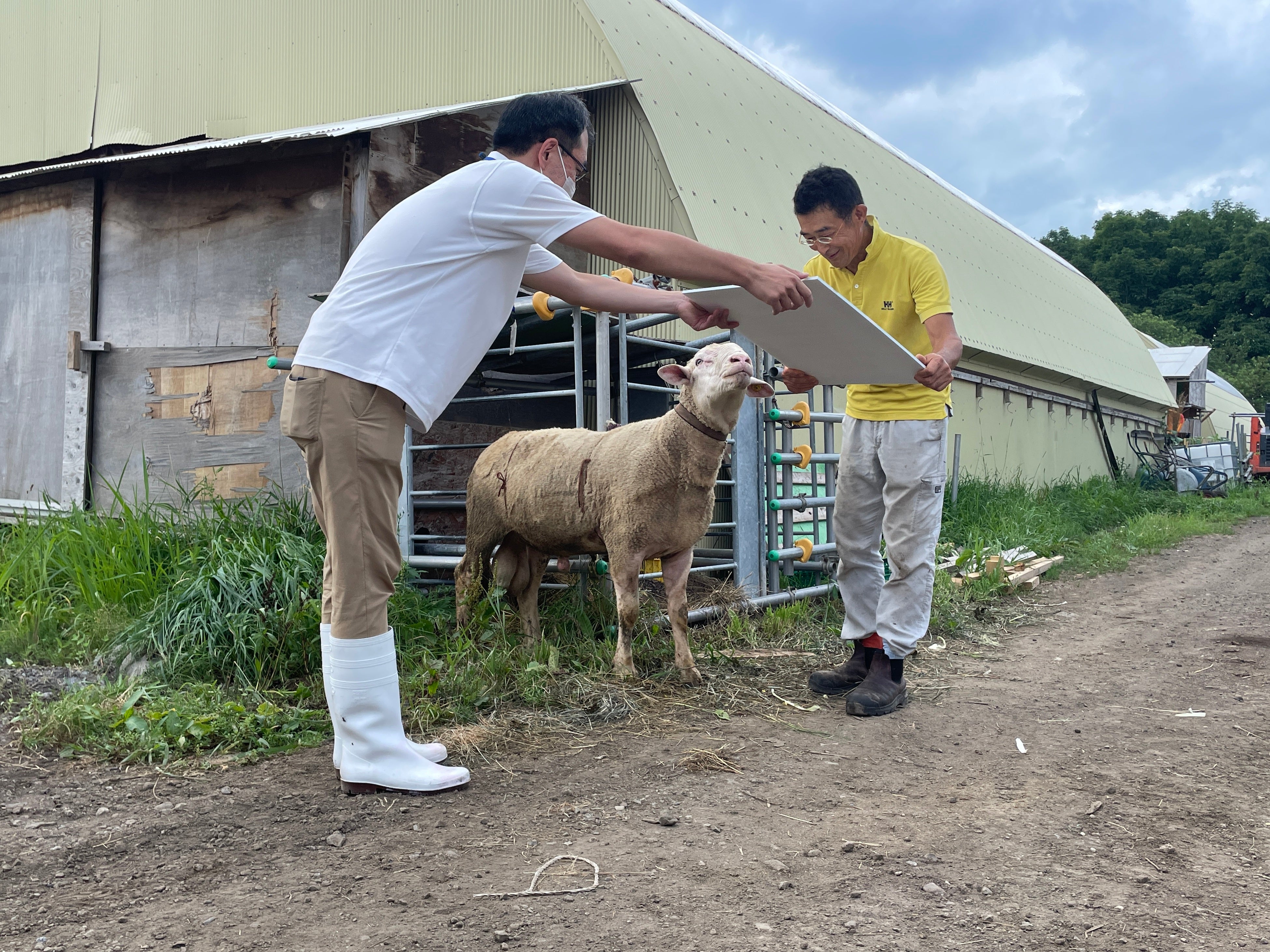 「コープさっぽろ　フードロス部長」任命式の様子