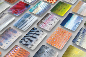 「さかなかるた」通常版イメージ ※MSC版は制作中