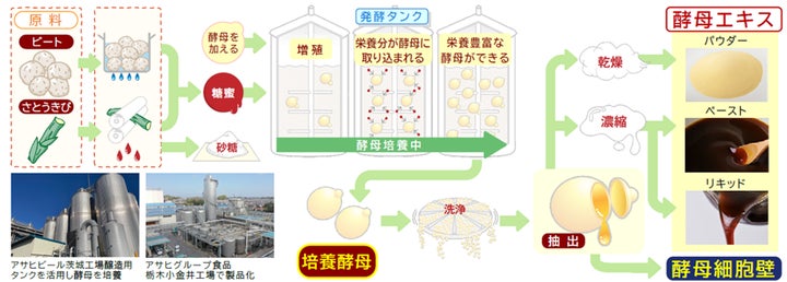 国内で酵母エキス向けの酵母培養を開始し、酵母エキスの製造量を拡大 | アサヒグループ食品株式会社のプレスリリース