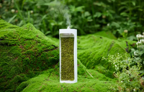Moss Air 天然加湿器 コケの力で森林浴気分が味わえる！ホワイト 究極のサステナブル！コケの力で森林浴気分が味わえる！テラリウム風