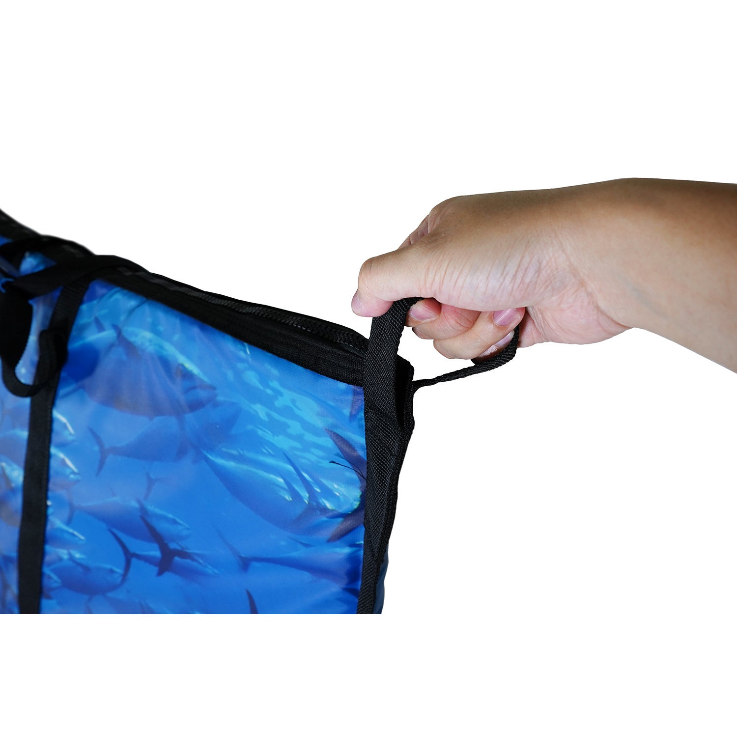 AO Coolers（エーオークーラーズ）より、大型魚の保冷・運搬が