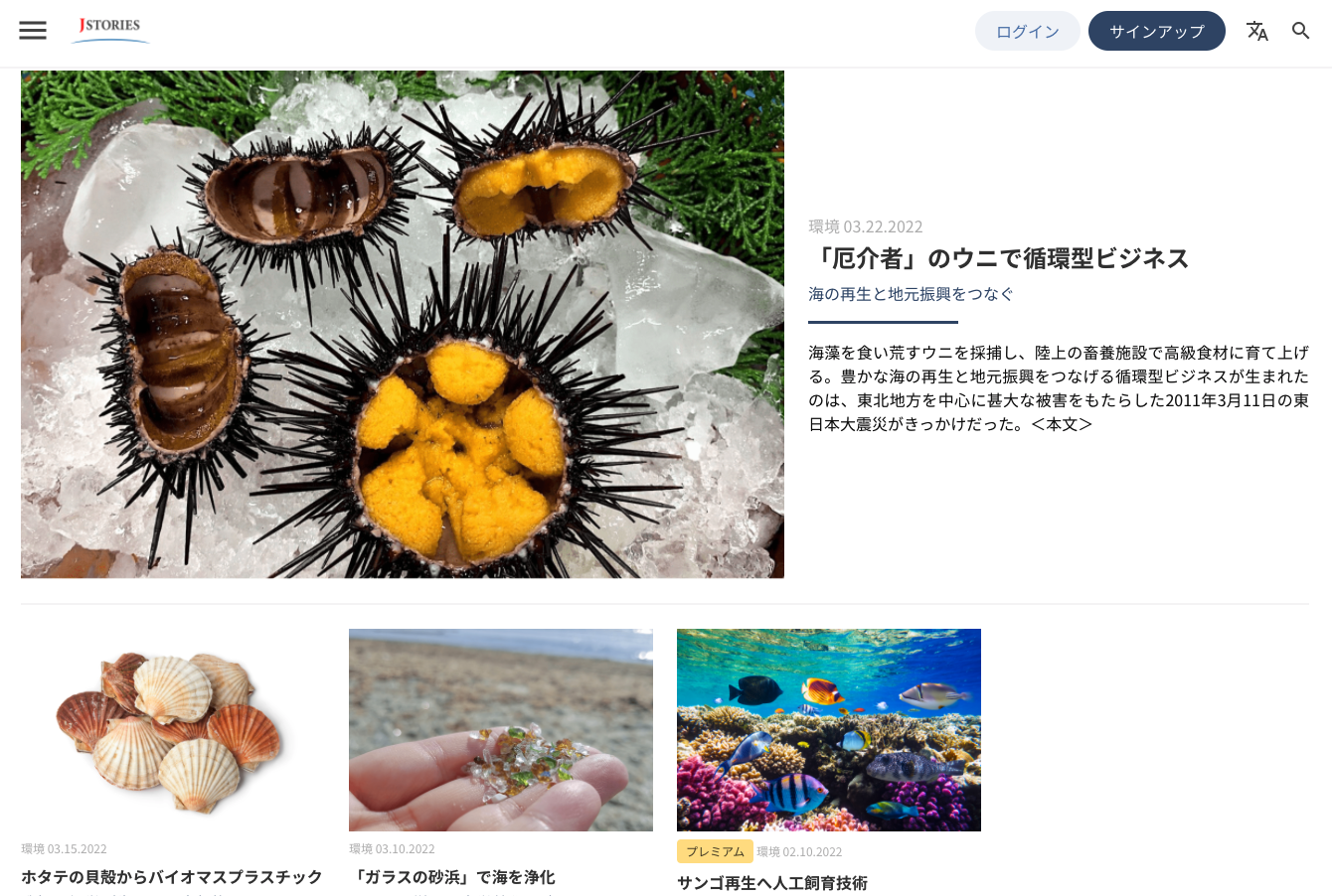 日本語記事の例