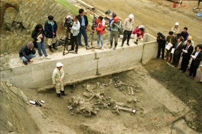 発見当時の様子