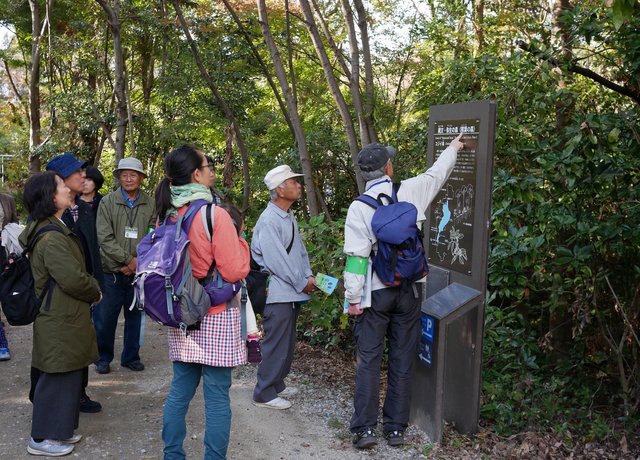 はしかけ「森人」による屋外展示の森のガイドツアー