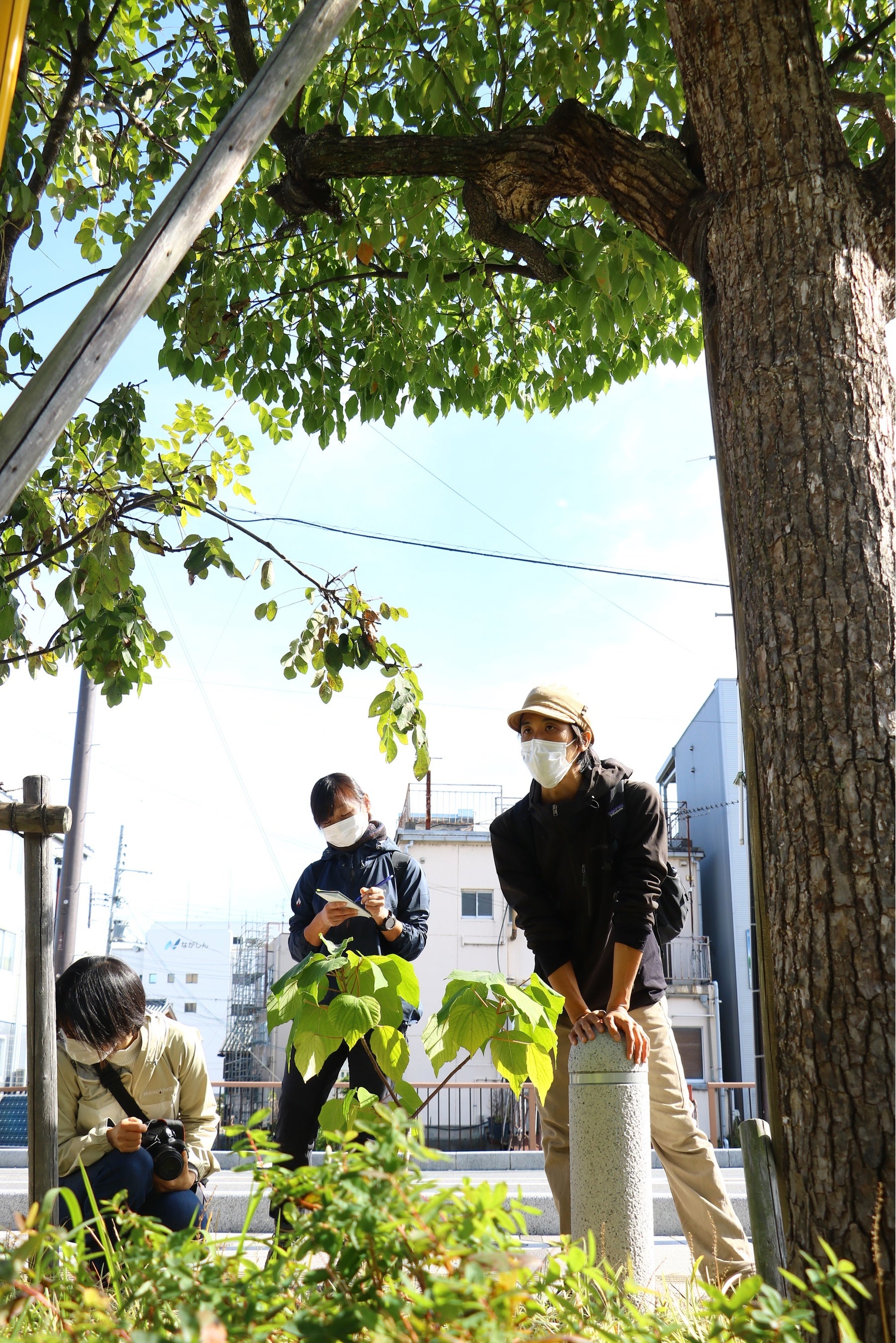 まちなか森ツアーのイメージ