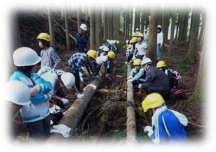 水源林の重要性について学ぶ「やまのこ」