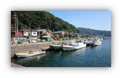 伝統の湖魚料理と漁村の猫に癒やされる沖島散策