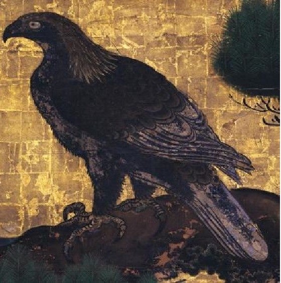 「大広間四の間」《松鷹図》の鷲