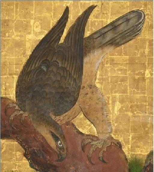 大広間四の間〈松鷹図〉の鷹