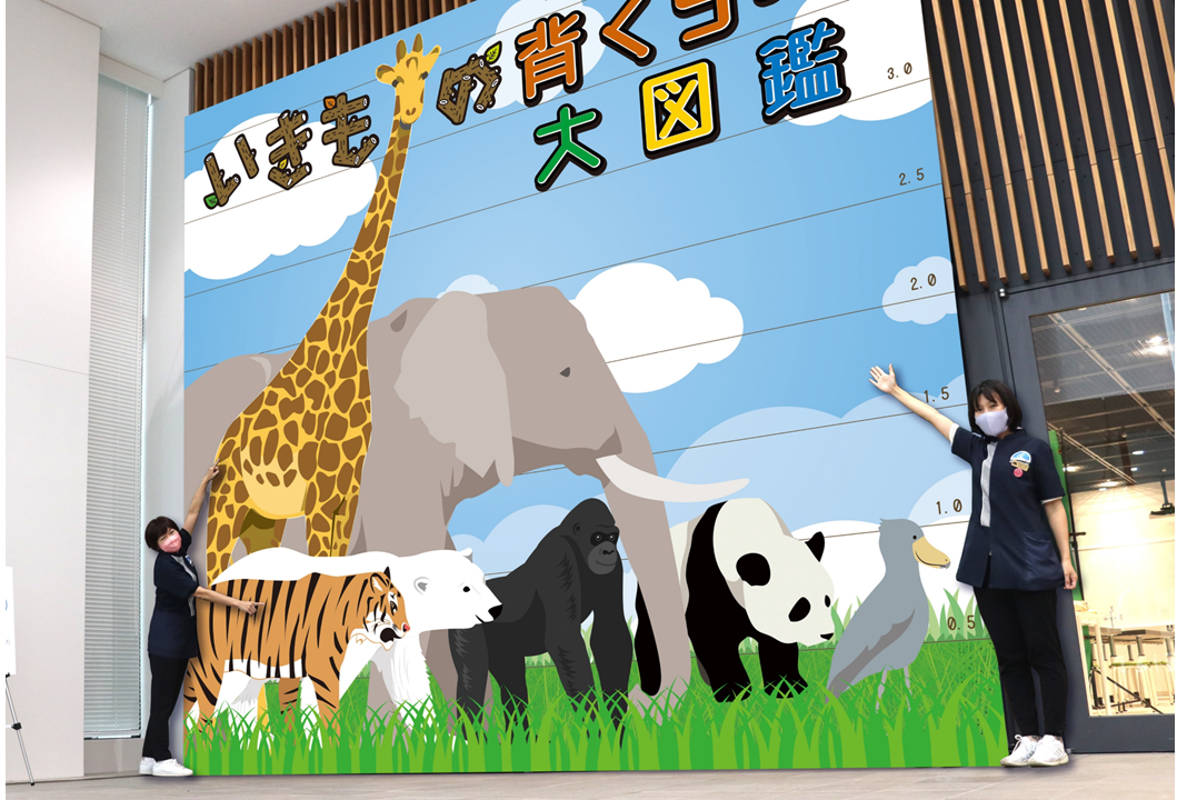 背くらべ　※画像はイメージです。