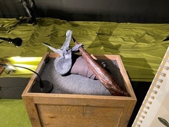 【ステゴサウルススパイク】 尾の先にあるスパイクが特徴的な植物食恐竜の ステゴサウルスと肉食恐竜のアロサウルスが戦って いたという化石証拠。