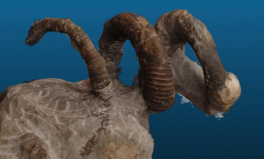 約9,000～7,000万年前、日本列島の土台が つくられたころの海に暮らした異常巻き アンモナイト（ユーボストリコセラス）（所蔵：地球科学可視化技術研究所）