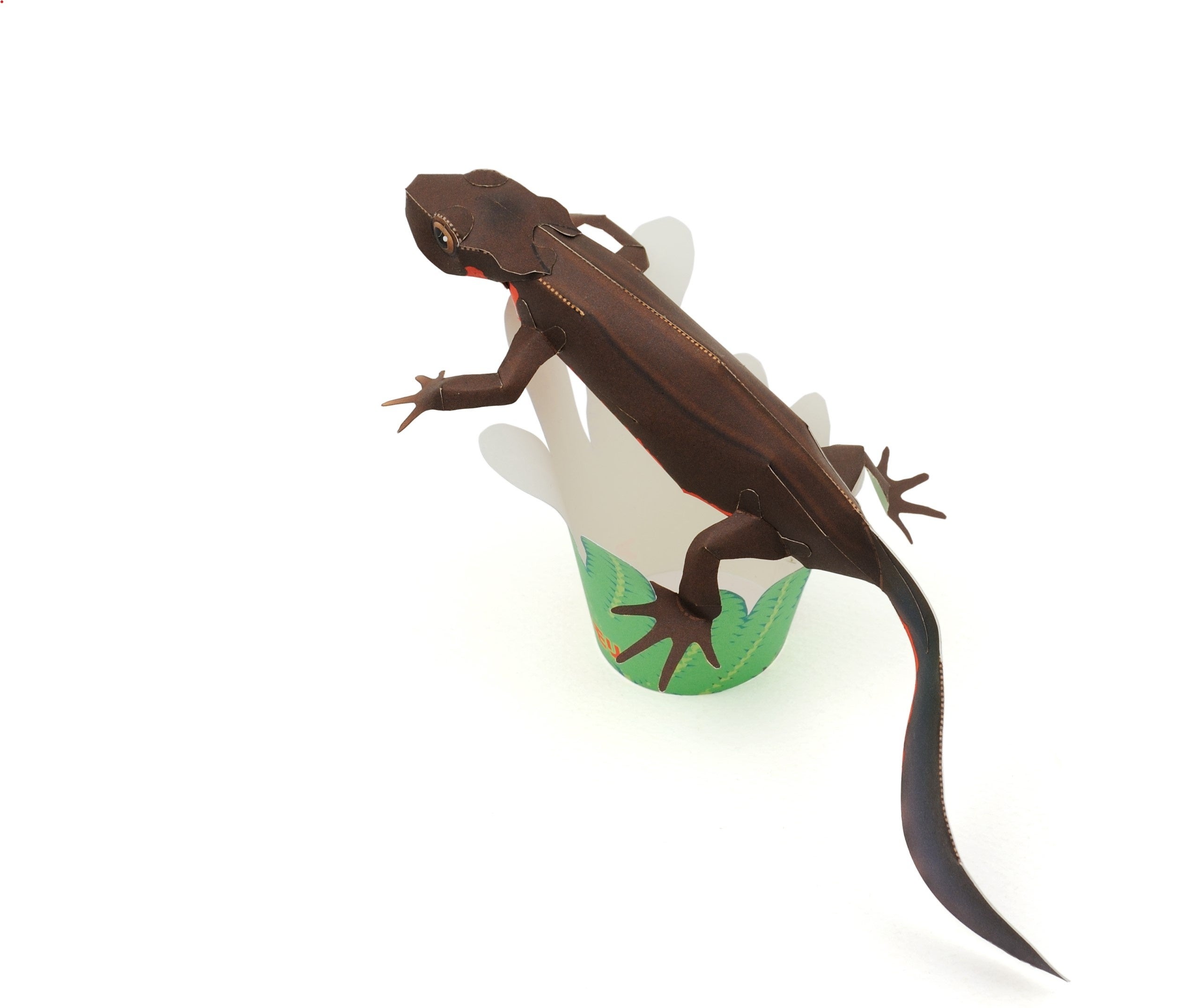 アカハライモリのペーパークラフト（提供：KeiCraft ごとう けい）