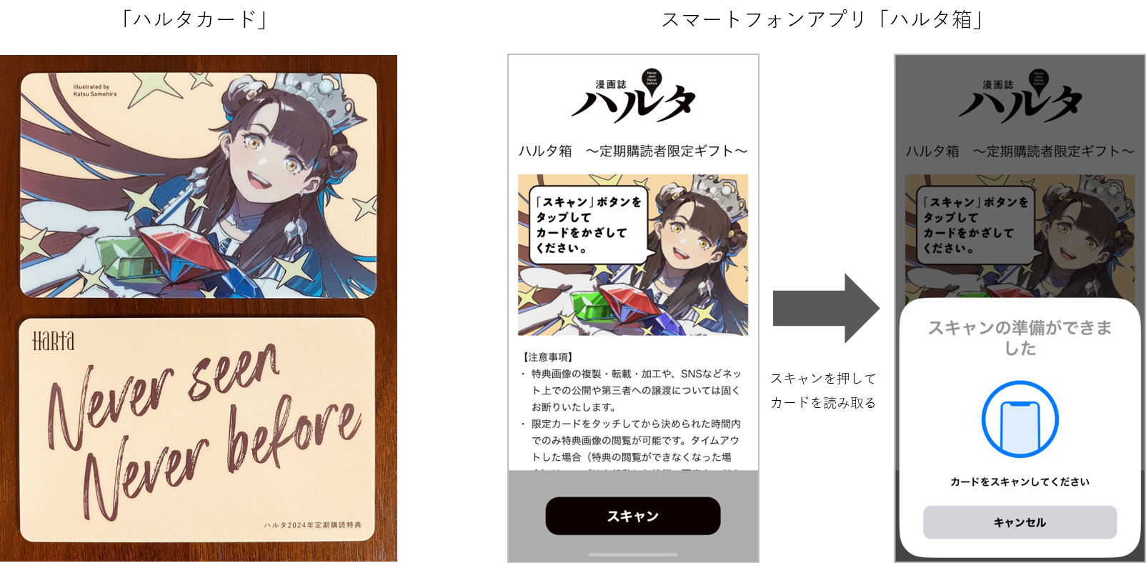 ハルタ玉稿 複製原画セット ハルタ年間購読特典 ハルタ玉稿 複製原画セット ハルタ年間購読特典