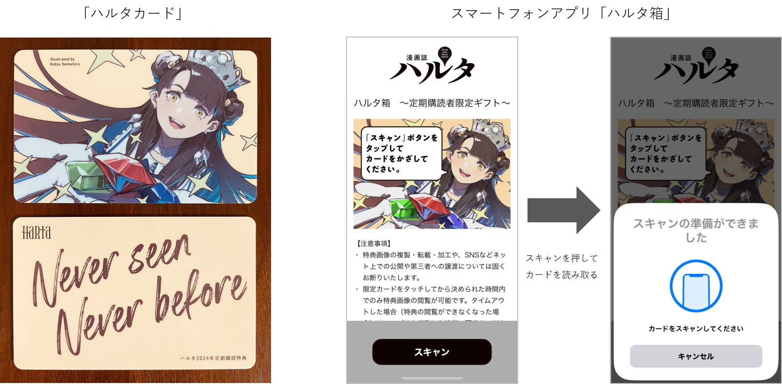 共同印刷の「コンテンツキャリア(R)」が、漫画誌「ハルタ」の定期 共同印刷の「コンテンツキャリア(R)」が、漫画誌「ハルタ」の定期