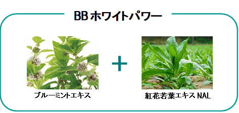 面美白」と「点美白」を一度に叶える、ナガセ史上最強の美白ケァ