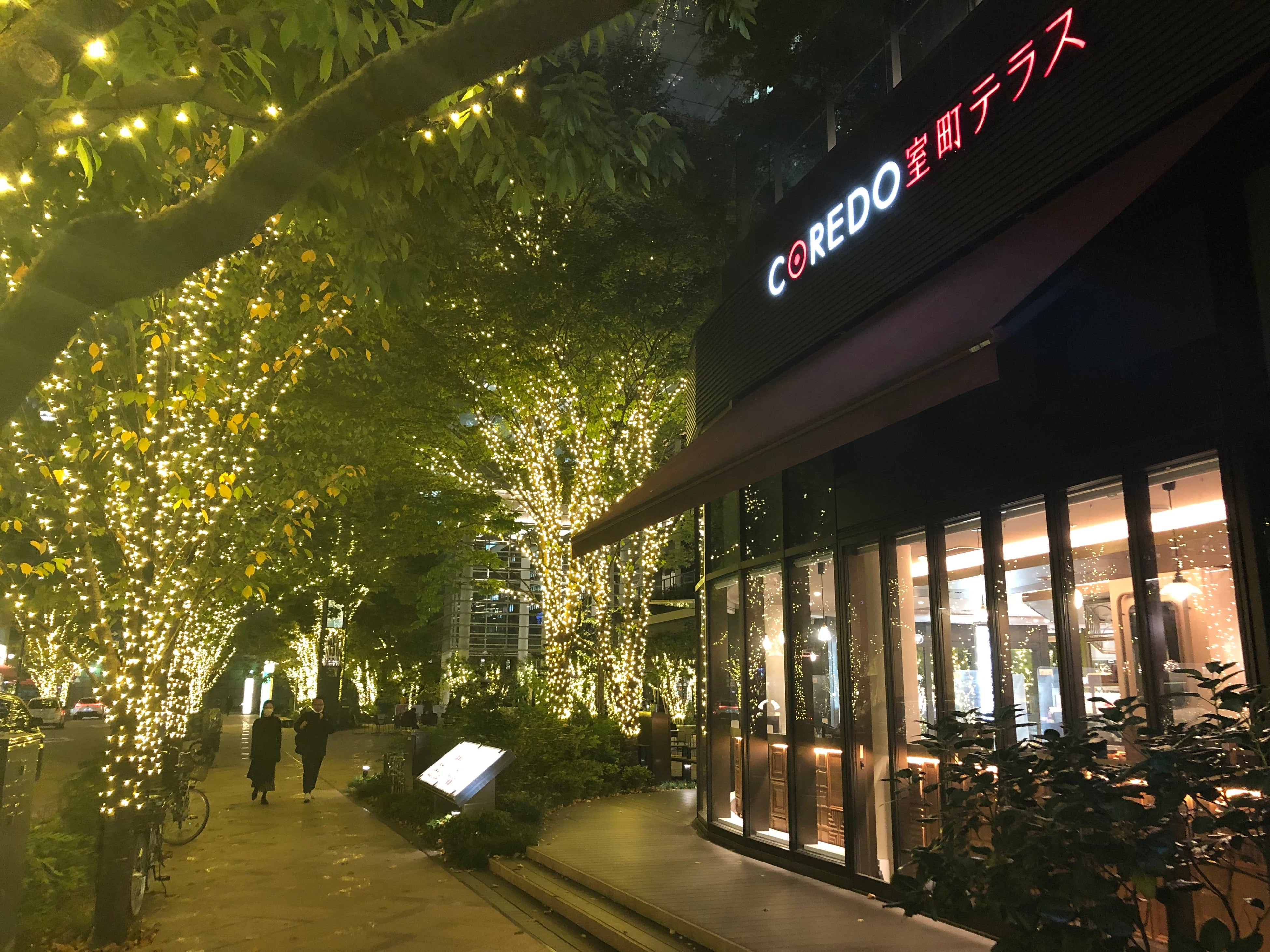  本年のイルミネーションの様子